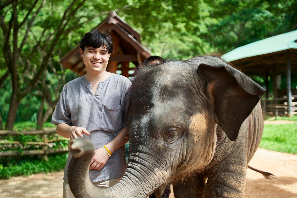 Promenades à dos d'éléphant tourisme non éthique