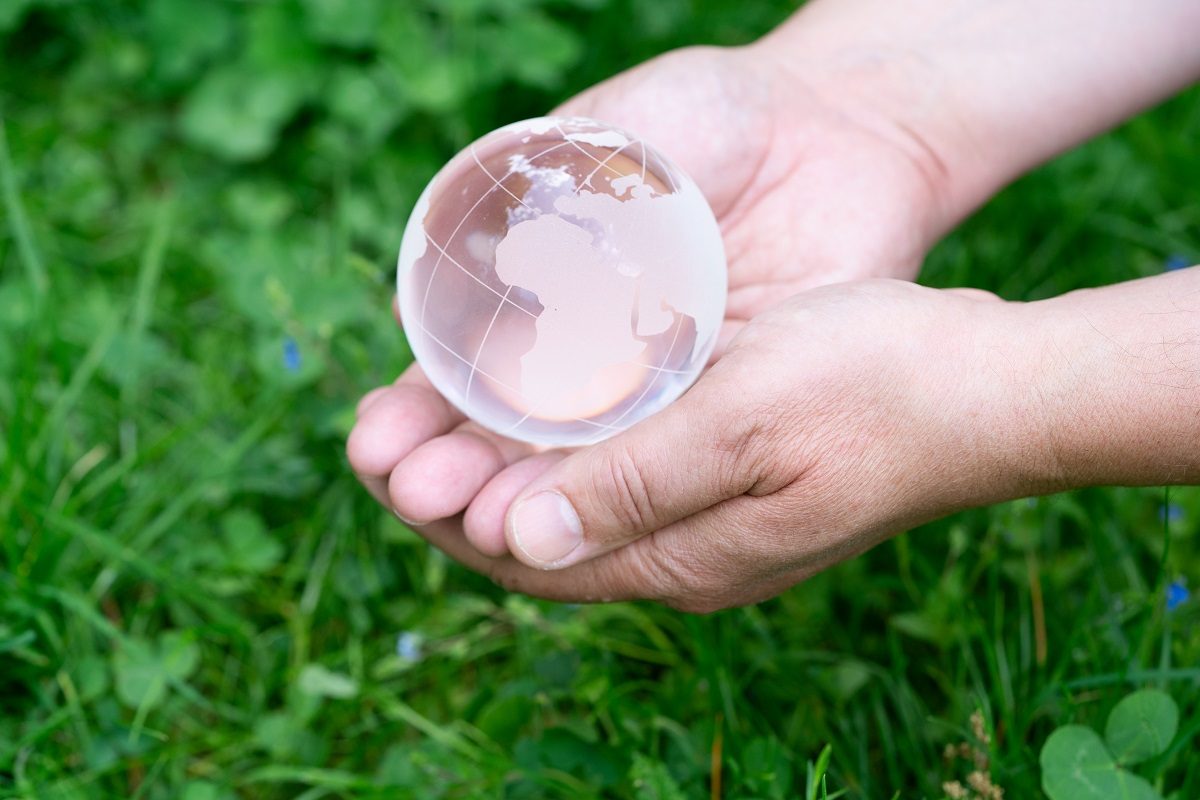 définition de l'écologie