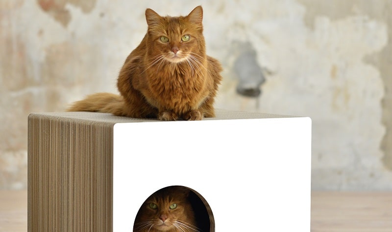 meuble à chat