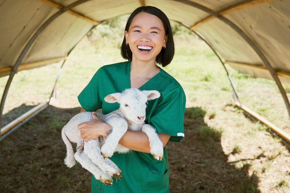 Faire carrière dans l'écologie animale