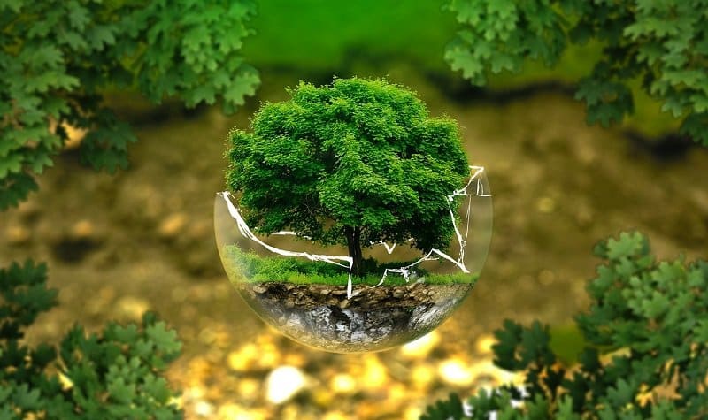 vie nature biologie