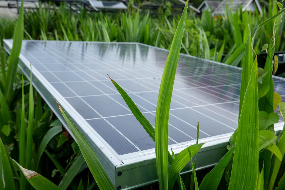 Comment un panneau solaire crée-t-il de l'électricité