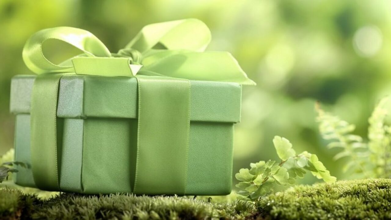 Idées cadeaux écologiques, bio et respectueux de l'environnement