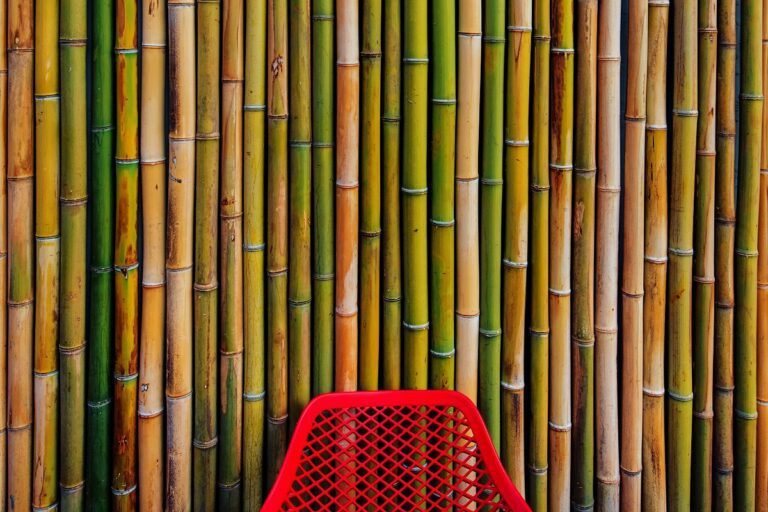 Revêtement mural en bambou