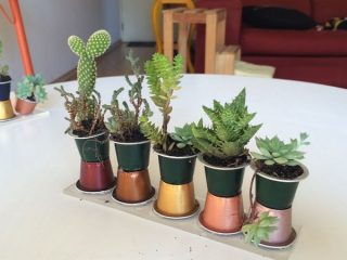 idées recyclage capsules nespresso