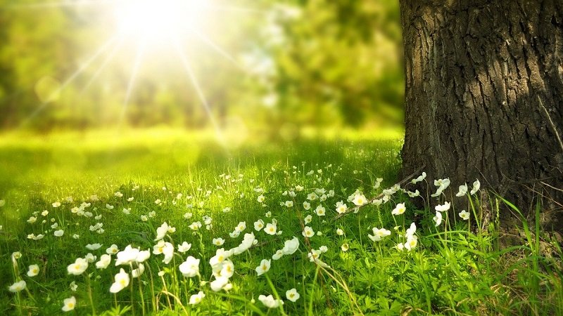 Qu'est-ce que l'écologie profonde