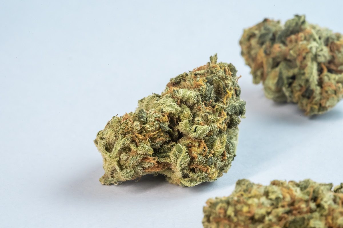 fleur de cbd bio