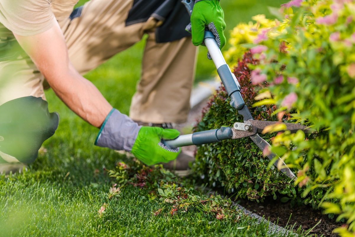 comment entretenir son jardin