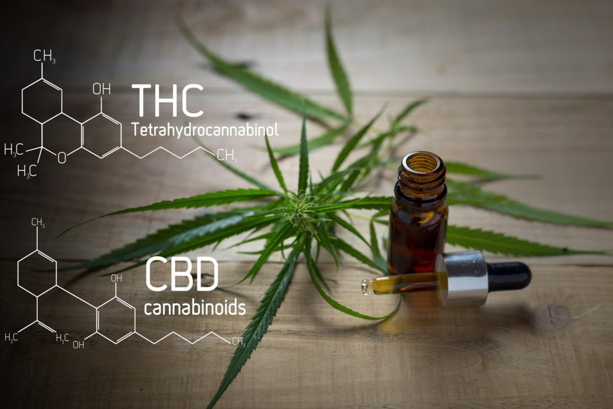 cbd thc différences