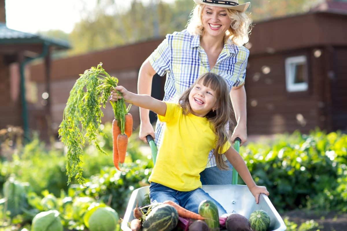 faire potager avec enfant