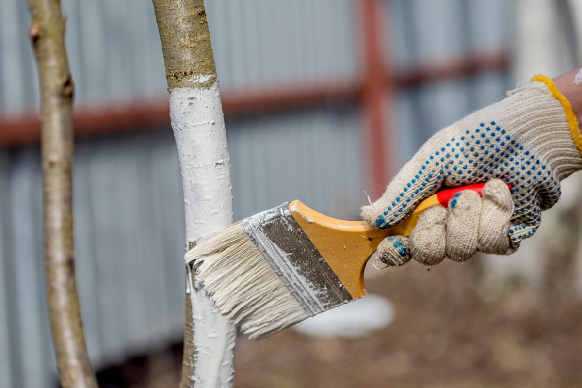 Comment faire de la peinture écologique