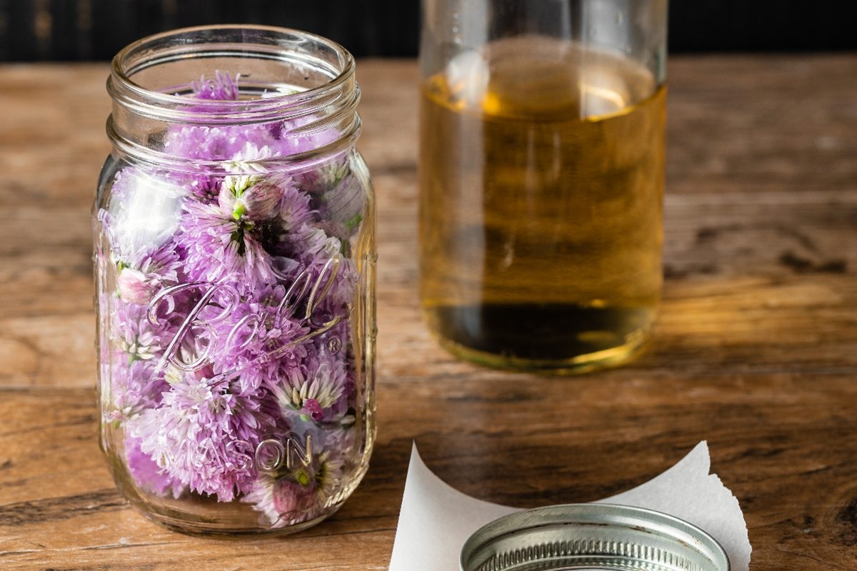 Comment faire du vinaigre de fleur de ciboulette