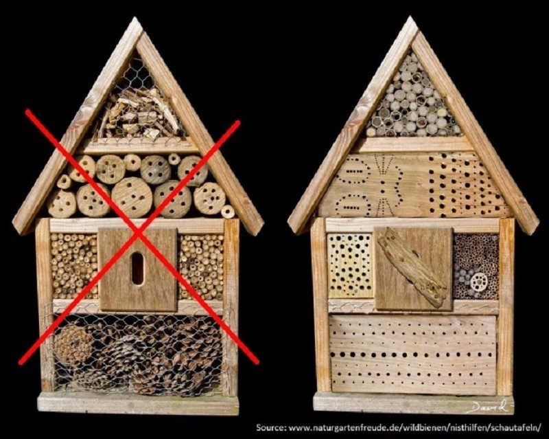 bon et mauvais hotel à insectes