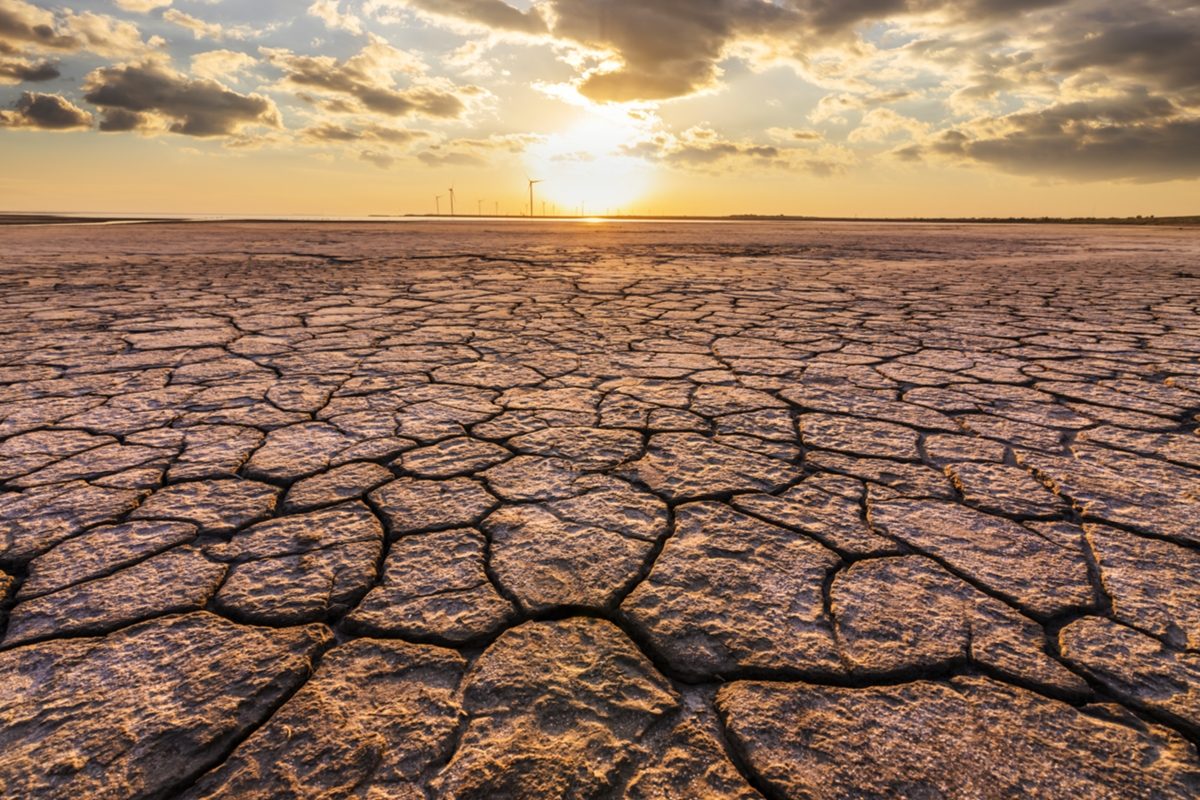 effets du changement climatique