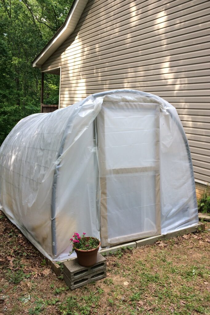 petite serre tunnel maison