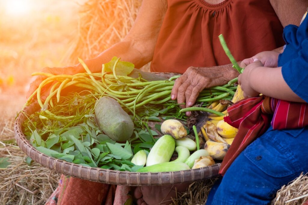 panier de légumes