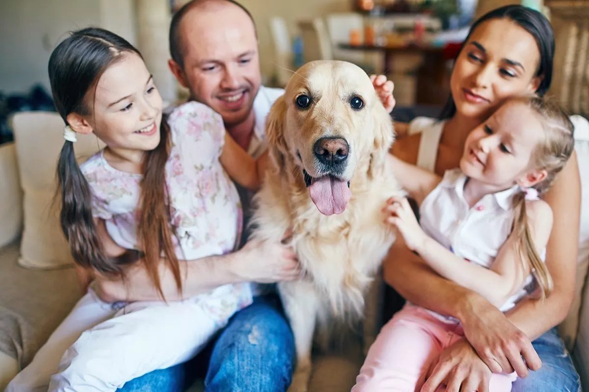 comment devenir famille d'accueil pour animaux