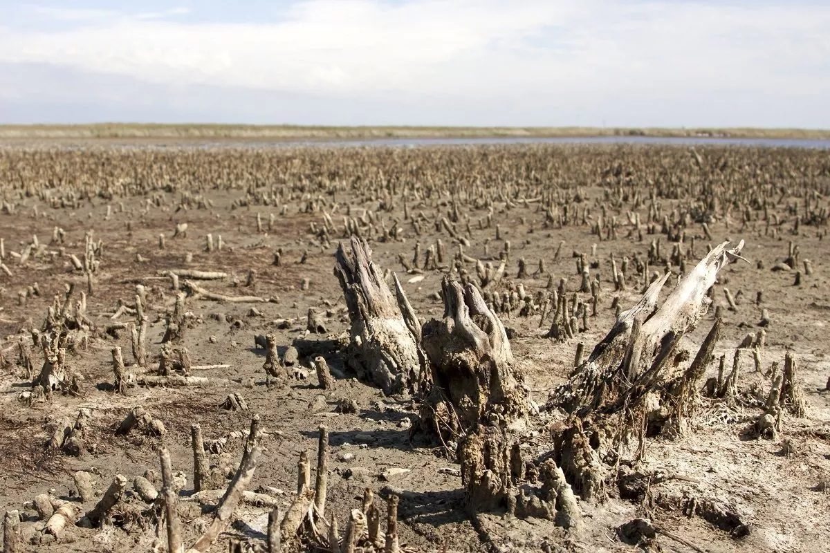 Qu'est-ce que le réchauffement climatique