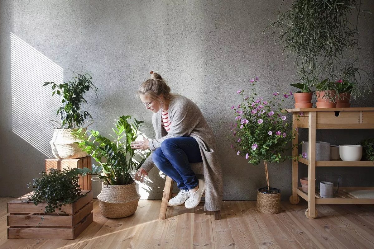 Comment créer un jardin d'intérieur zen