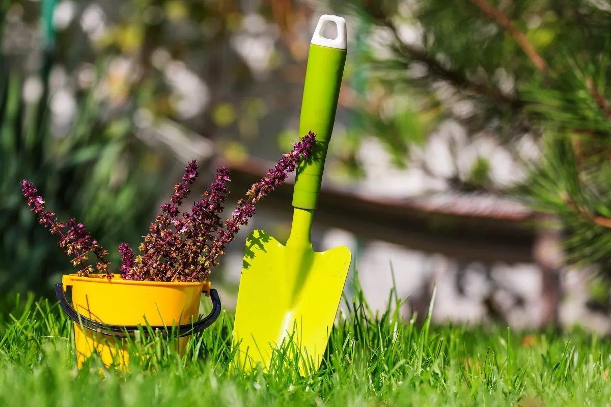 bons outils pour débuter en jardinage