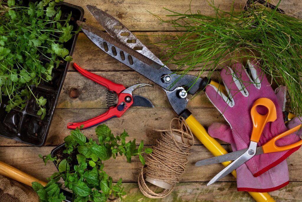 quels outils pour débuter jardinage