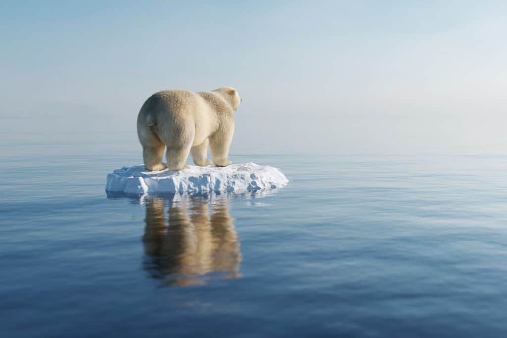 réchauffement climatique