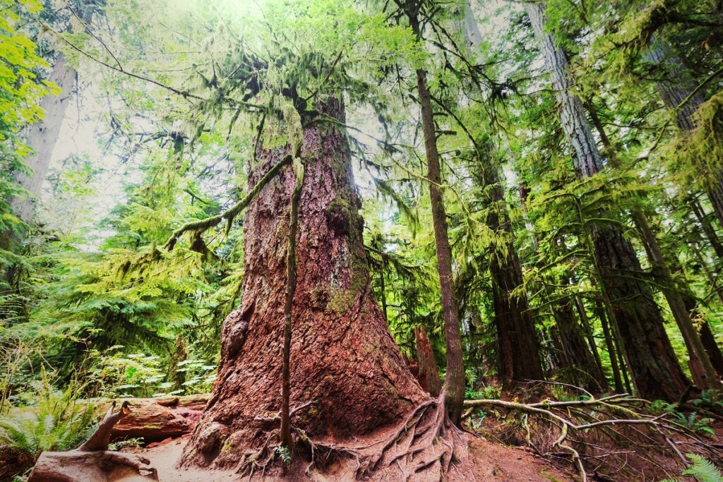 qu'est-ce que le réchauffement climatique