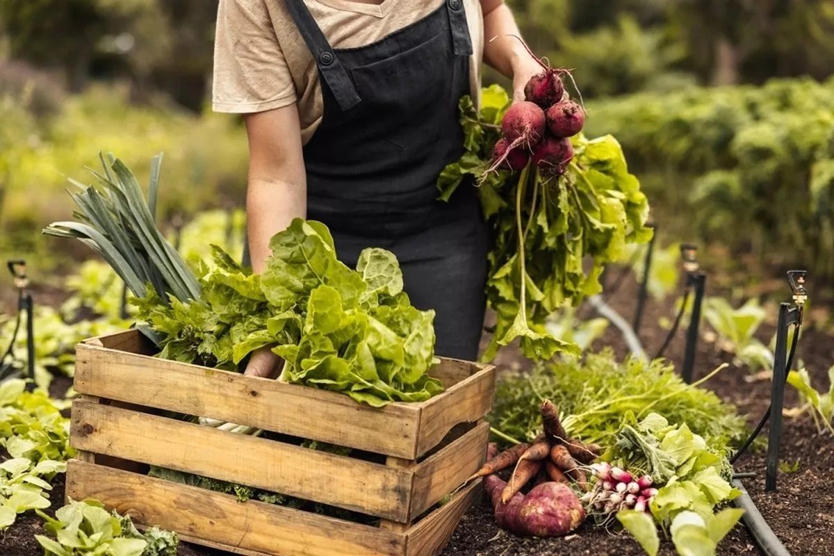 bienfaits de l'agriculture biologique