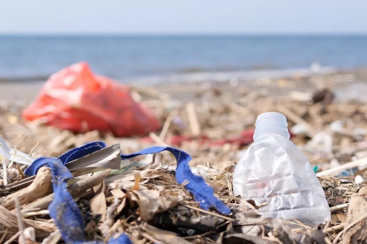 Comment les déchets affectent l'environnement