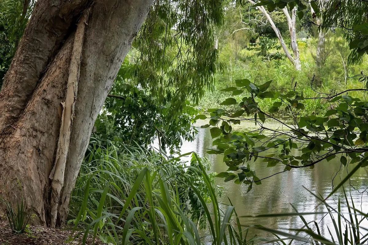 Qu'est-ce que la biodiversité des écosystèmes