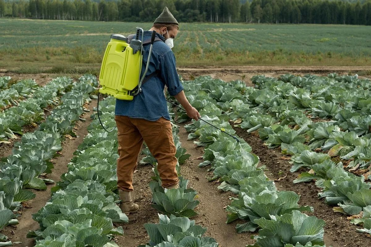 Réduire sa consommation de pesticides