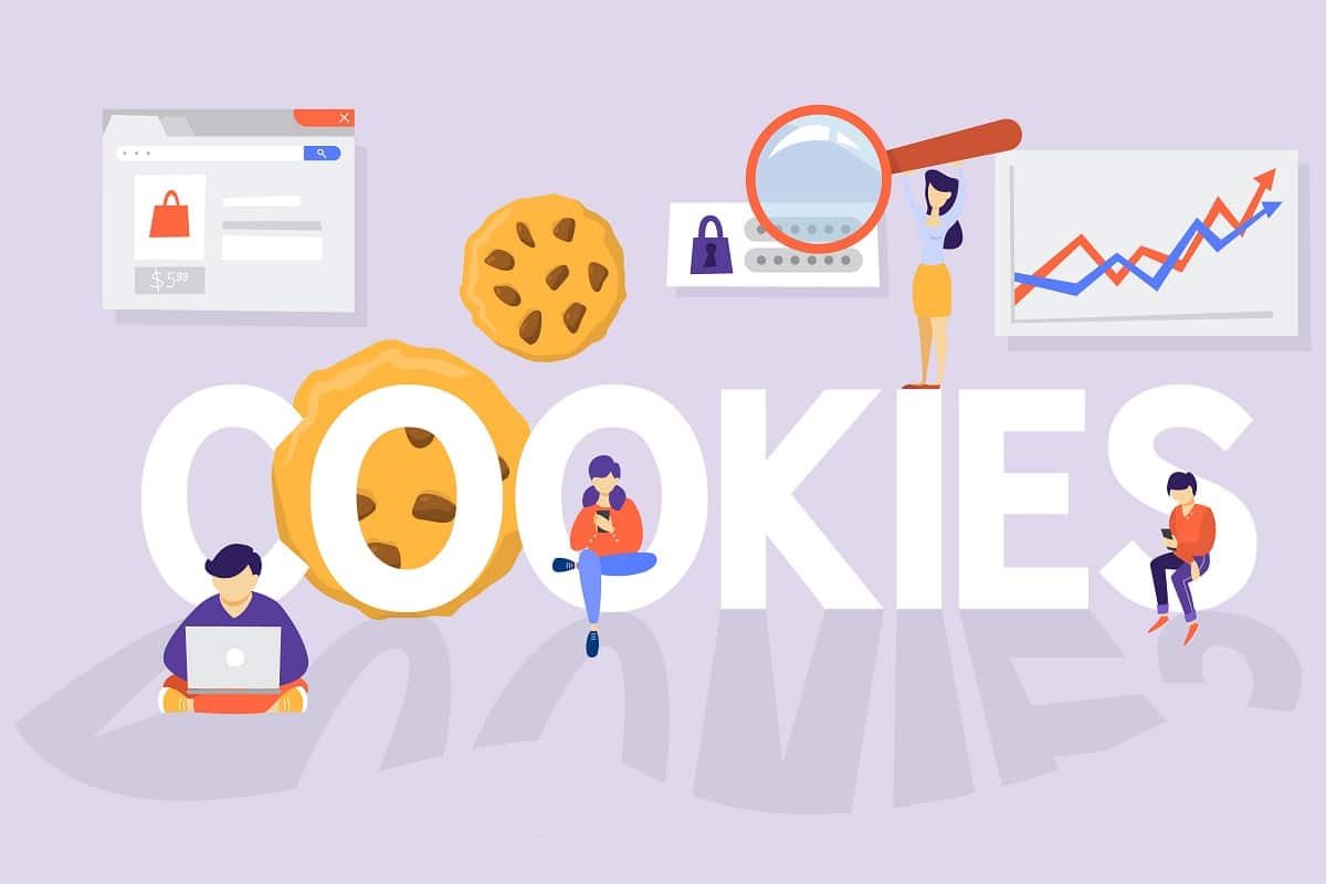 cookies internet