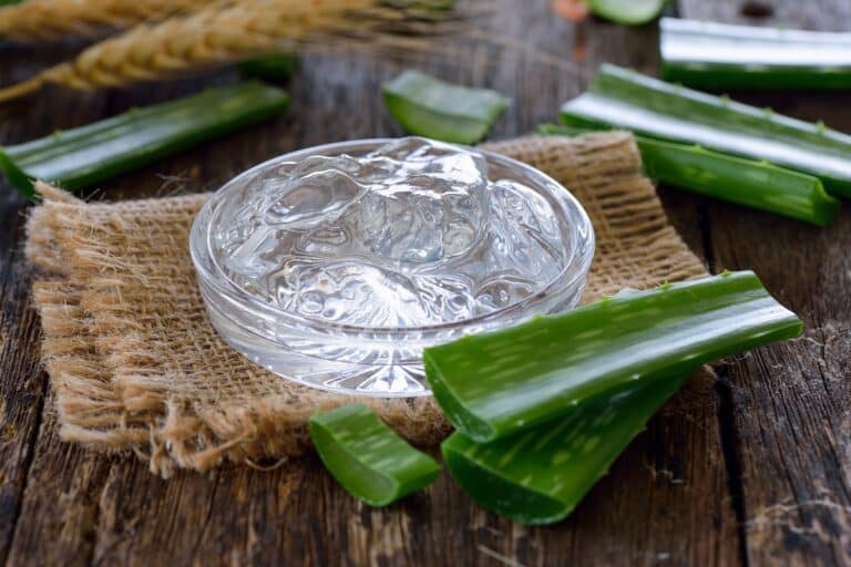 comment utiliser le gel d'aloé vera