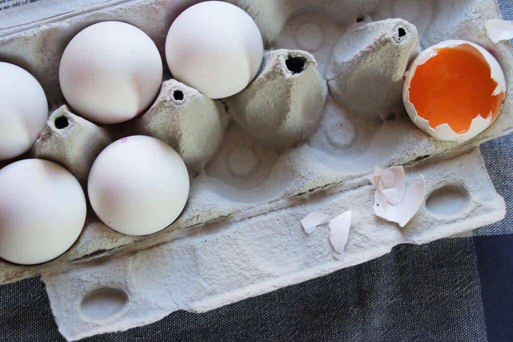 boite d'oeufs en carton