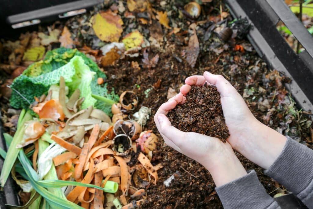 ratio brun vert compost