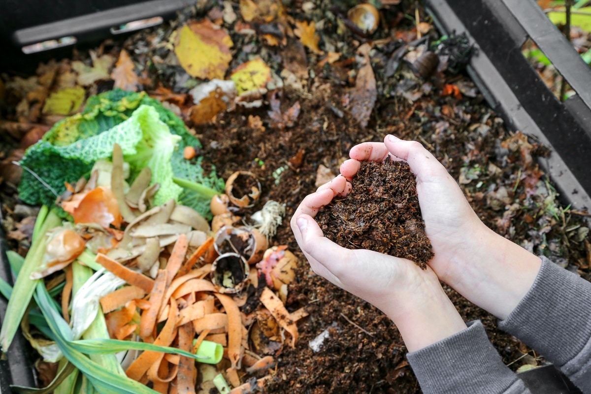 quoi composter à la maison