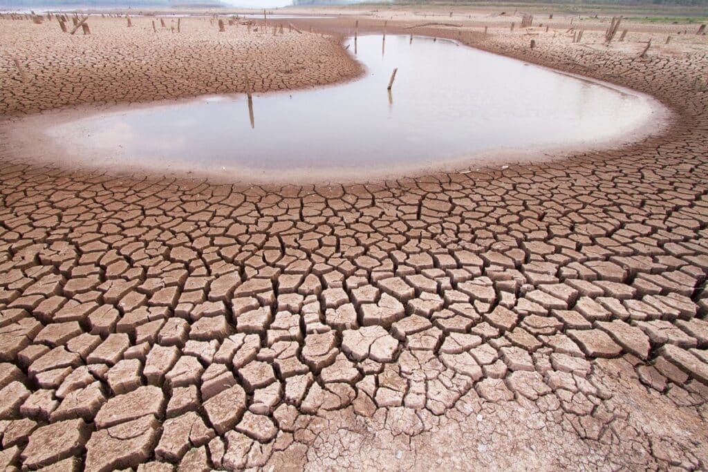 sécheresse afrique