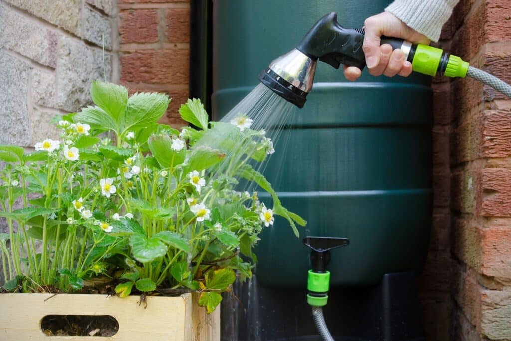 récupérer l'eau de pluie