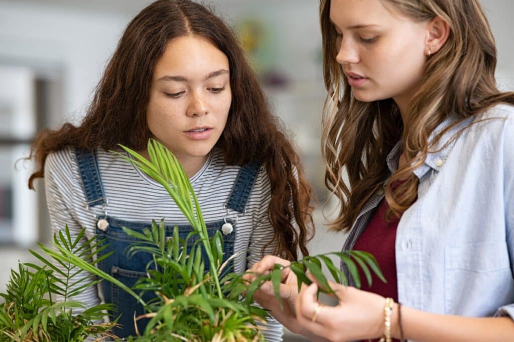 école formation environnement